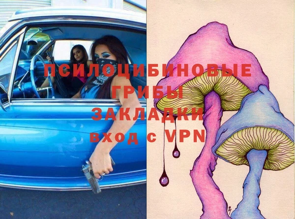 ешки Аркадак