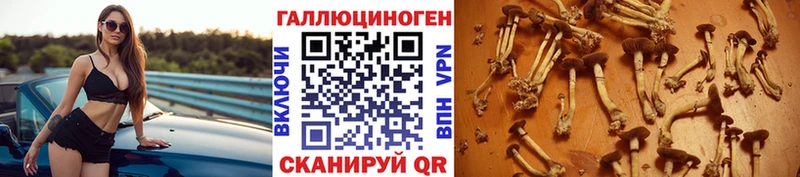 Галлюциногенные грибы GOLDEN TEACHER  Купить закладки  Выкса 